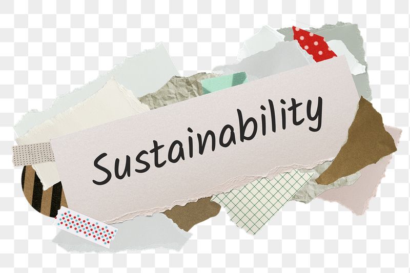 Sustainability png word sticker, aesthetic | Free PNG - rawpixel