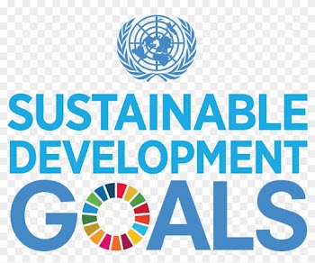 Sustainable Development Goals Logo Png