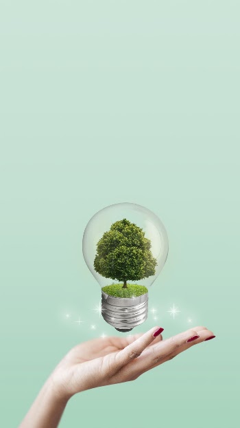 Sustainable mobile wallpaper, green environment | Free Photo - rawpixel