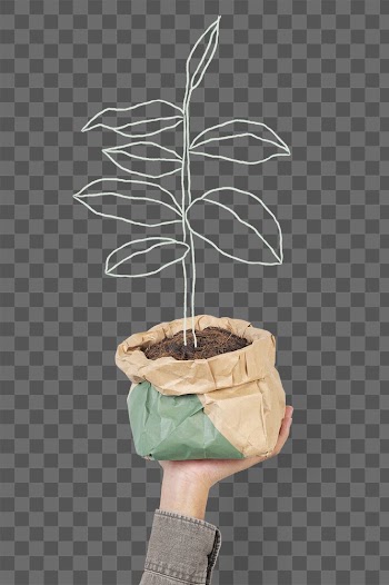 Sustainable plant png illustration remix | Free stock illustration | High Resolution graphic
