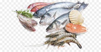 Sustainable seafood Fish processing Salmon - fish 
