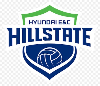 Suwon Hyundai Engineering & Construction Hillstate Hwaseong IBK Altos V-League Incheon Heungkuk Life Pink Spiders - volleyball 