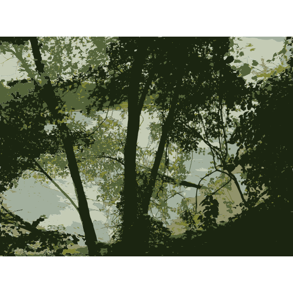 SVG 2009-09-06 154418