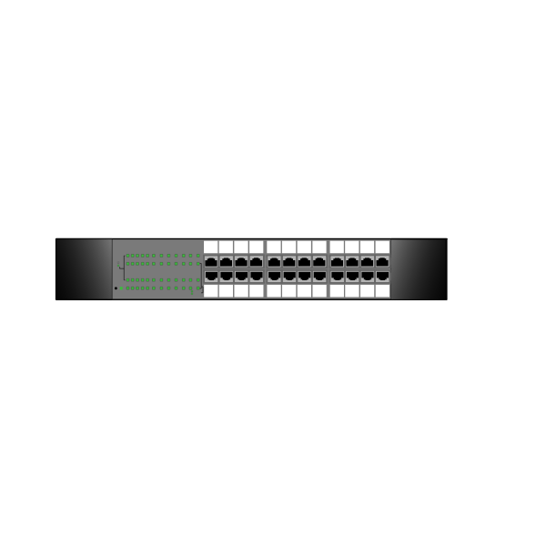 SVG 24-port switch