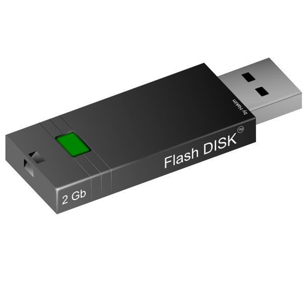 SVG 2GB flash disk vector image
