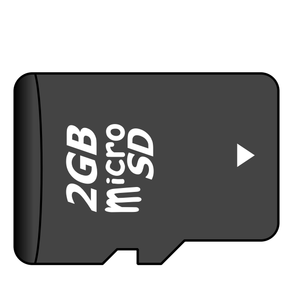 SVG 2GB microSD card vector illustration