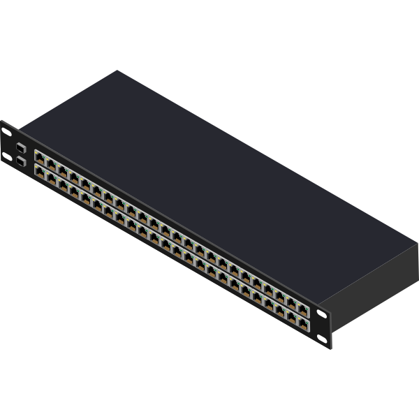 SVG 48-port switch
