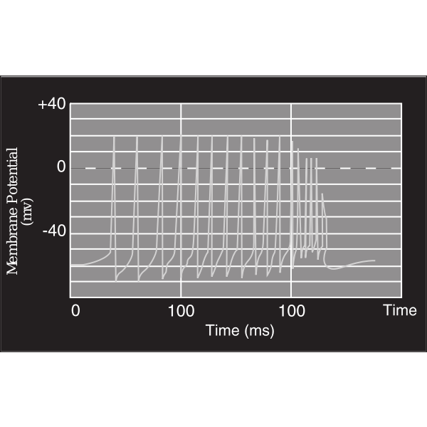 SVG 58294mainTheBraininSpace-page-32-graph