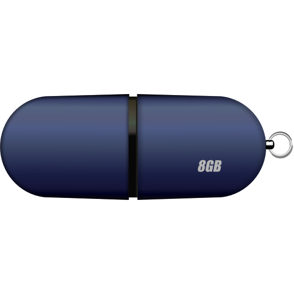 SVG 8GB USB stick vector image