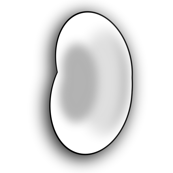 SVG A bean
