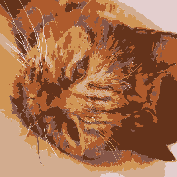 SVG A cat in real life