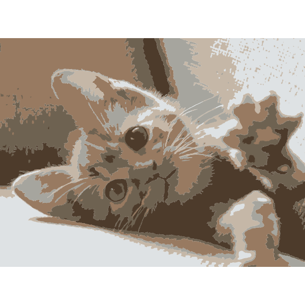 SVG A cat named roxy