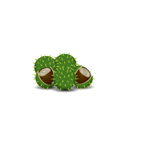 SVG A couple of chestnuts