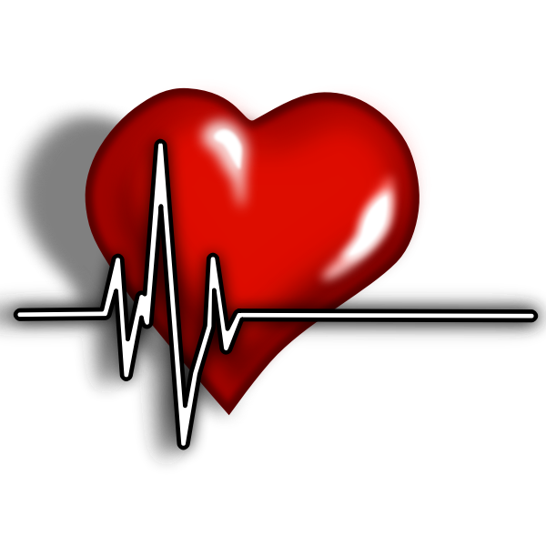 SVG A heart with ECG complex vector illustration