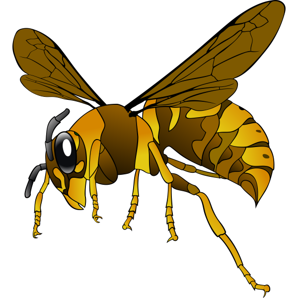 SVG A hornet