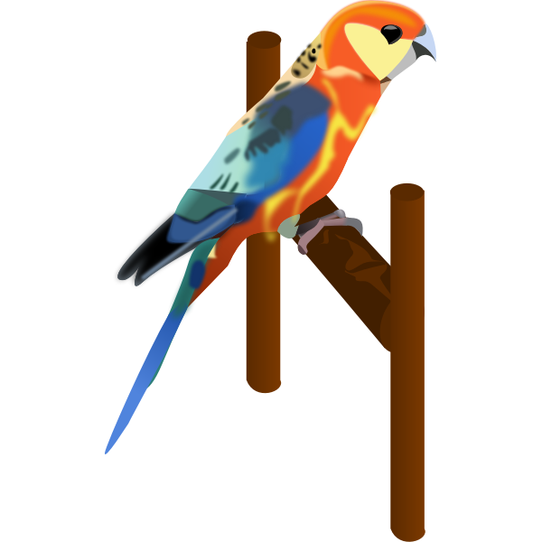 SVG A parrot