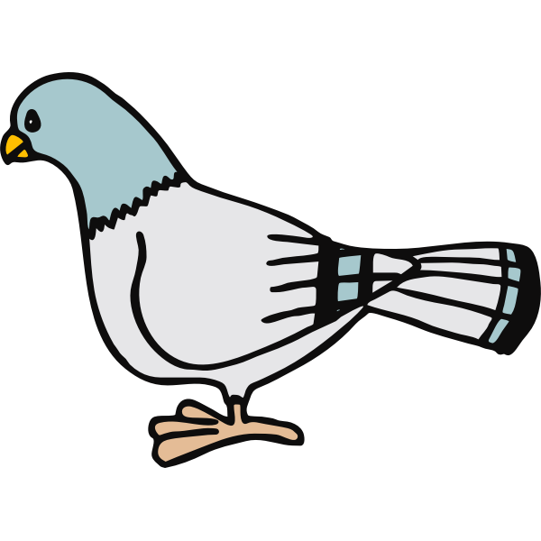 SVG A pigeon