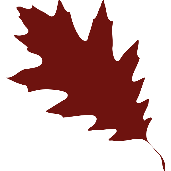SVG A red leaf silhouette vector illustration
