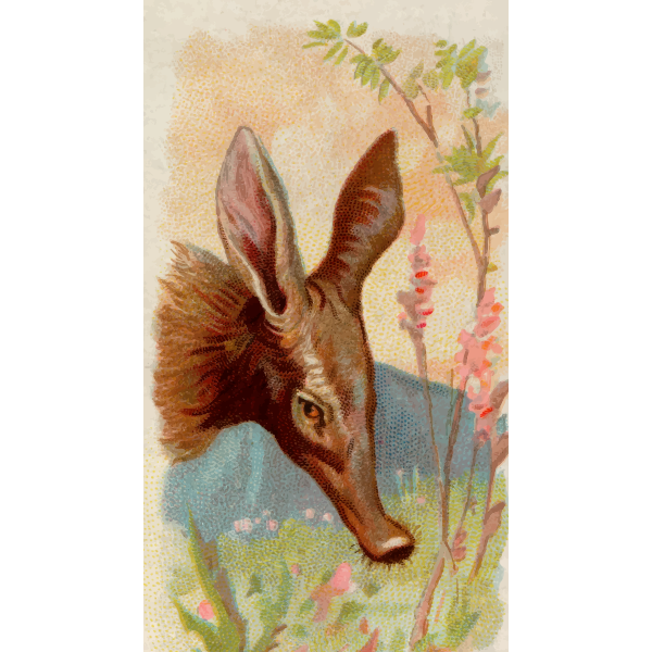 SVG Aardvark