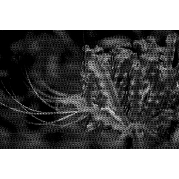 SVG Abstract plant in black and white