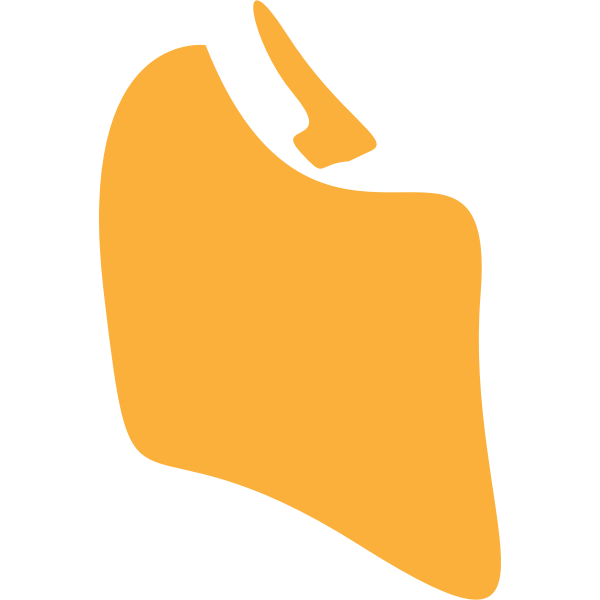 SVG Abstract Splat Mirror