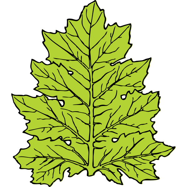 SVG acanthus leaf