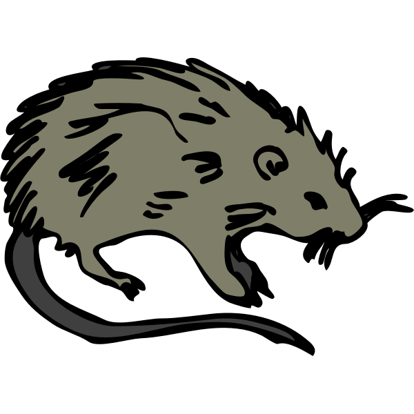 SVG Achitetto -- topo