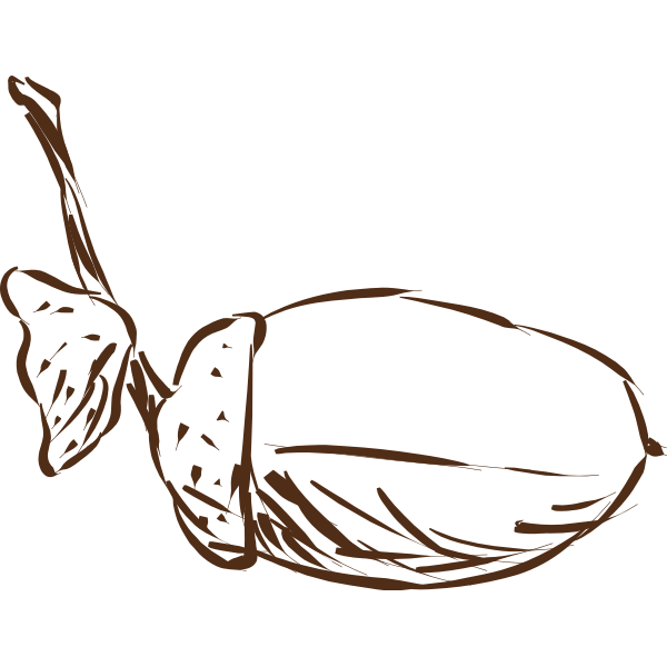 SVG Acorn-1577295042