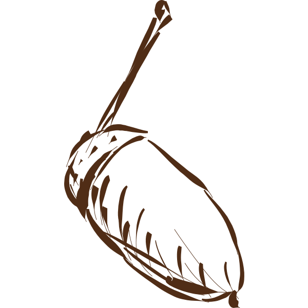 SVG Acorn-1577295125