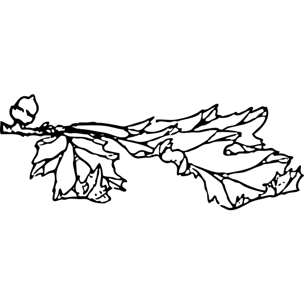 SVG acorn and leaf