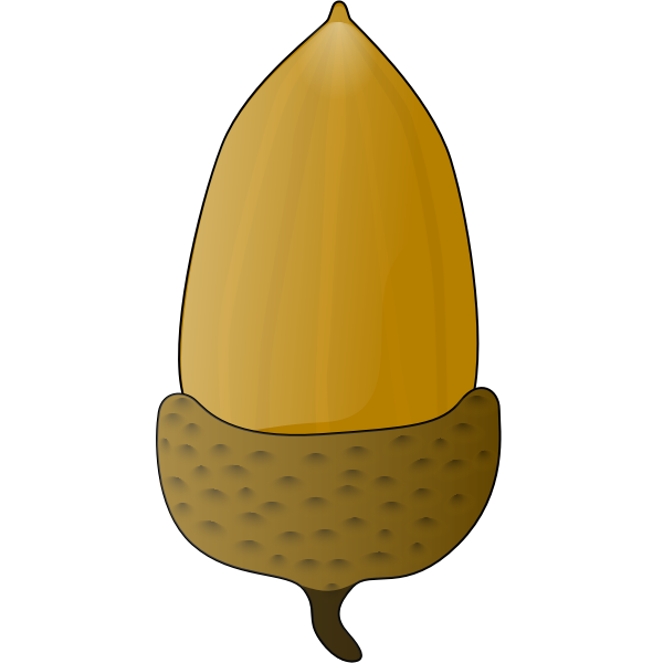 SVG Acorn vector illustration