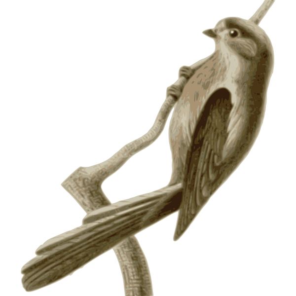 SVG Aegithaloscaudatusvinaceus
