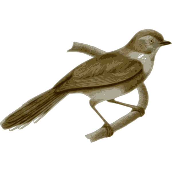 SVG Aegithalosfuliginosus