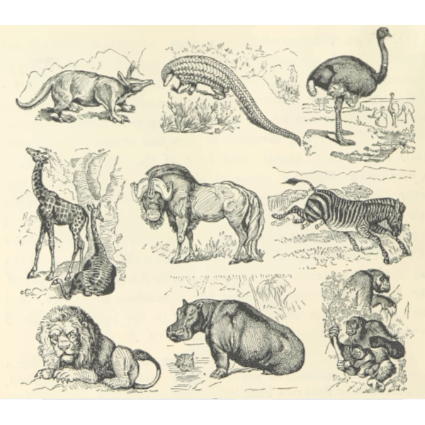 SVG African animals