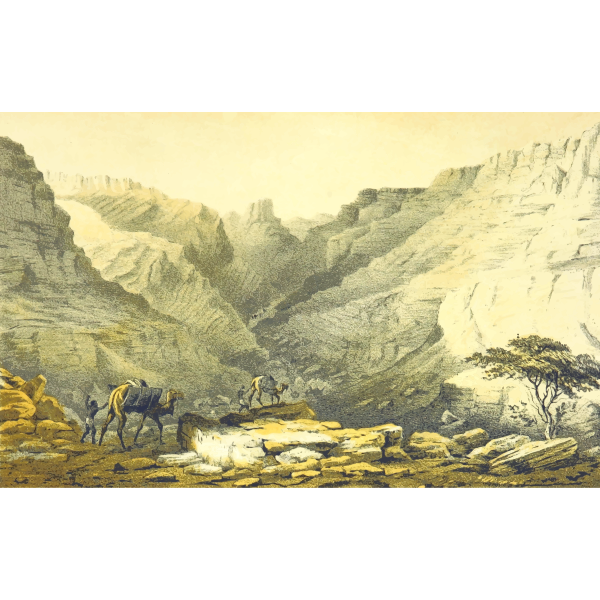 SVG African scene with camels