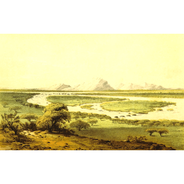 SVG African scene with Niger
