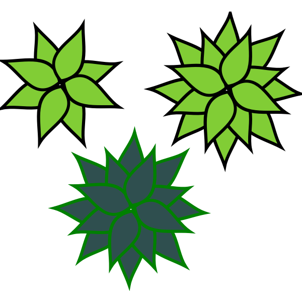 SVG Agave