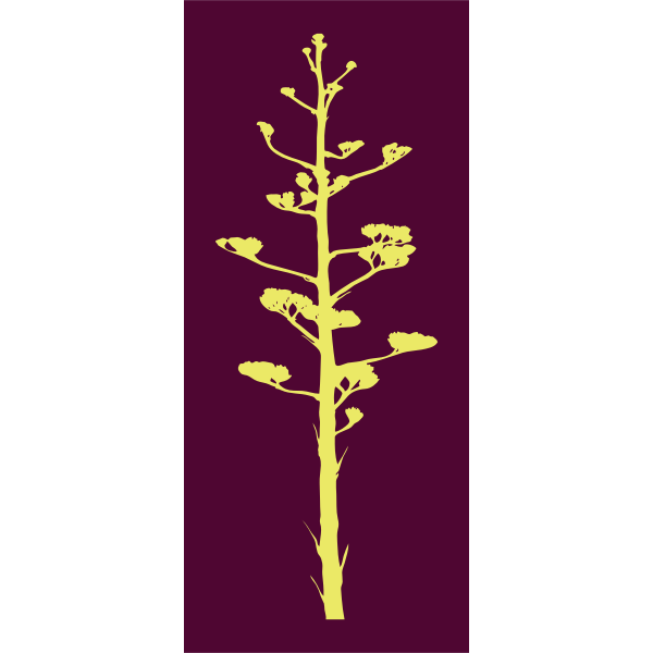 SVG Agave bloom