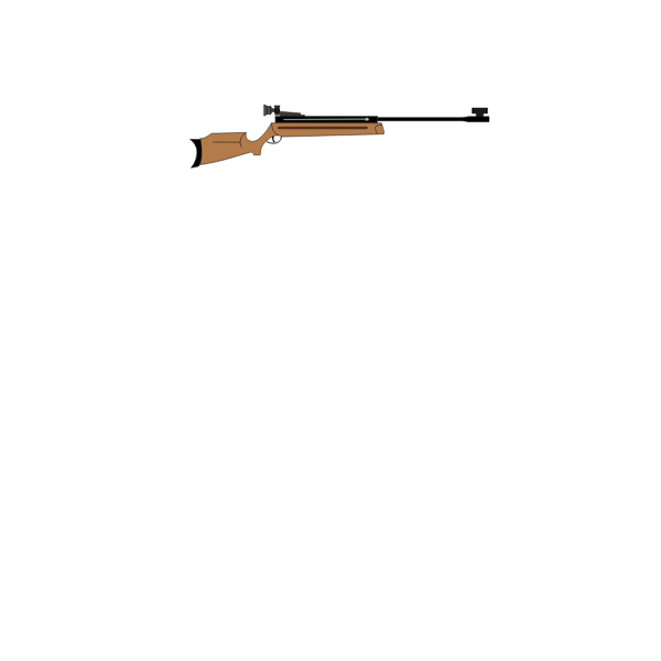 SVG Air rifle