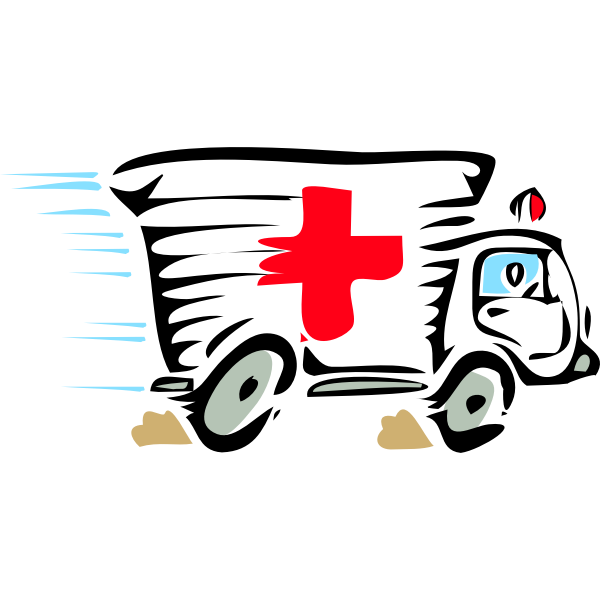 SVG Ambulance truck vector image