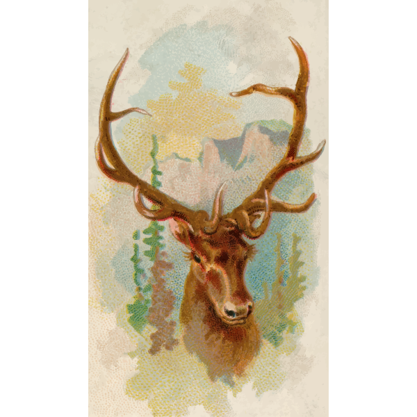 SVG American elk