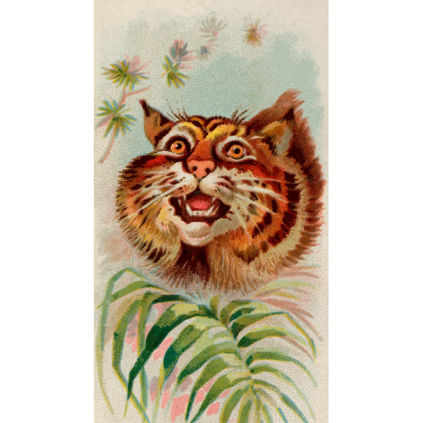 SVG American wildcat