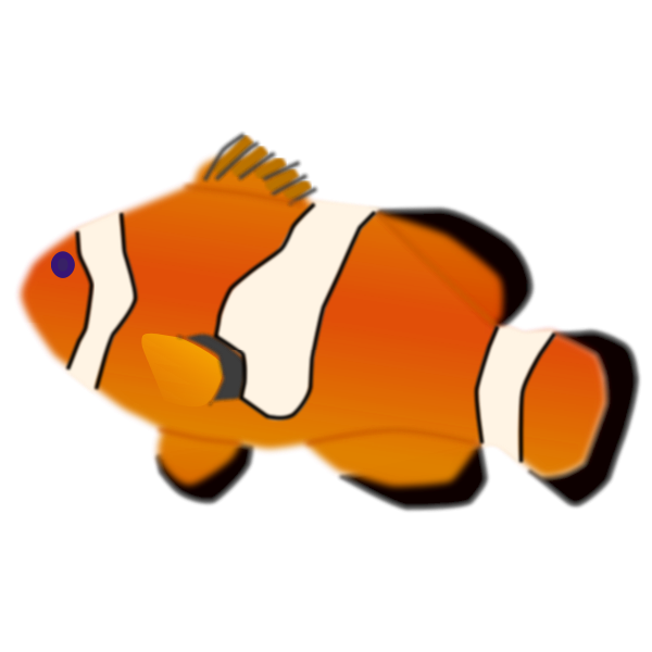 SVG Amphiprion percula fish vector illustration
