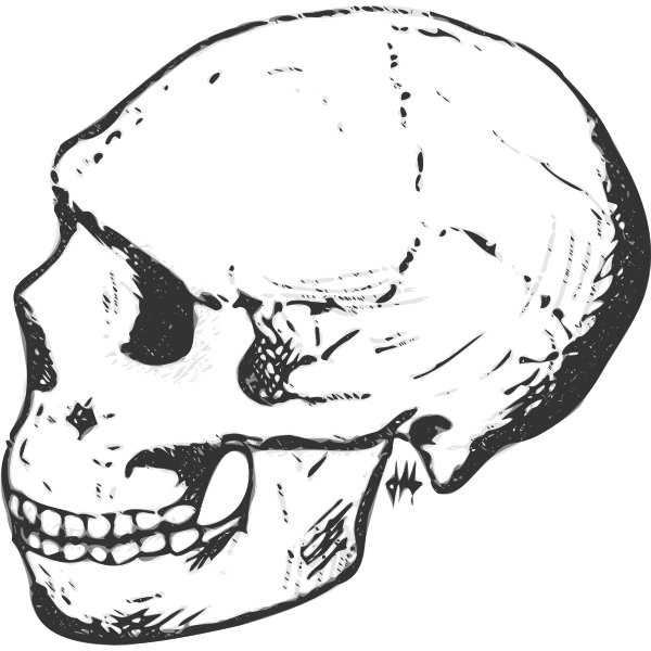 SVG Amud skull grayscale