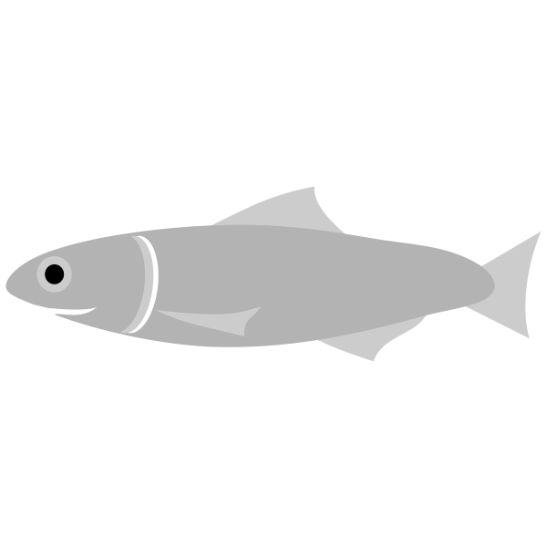 SVG Anchovy fish