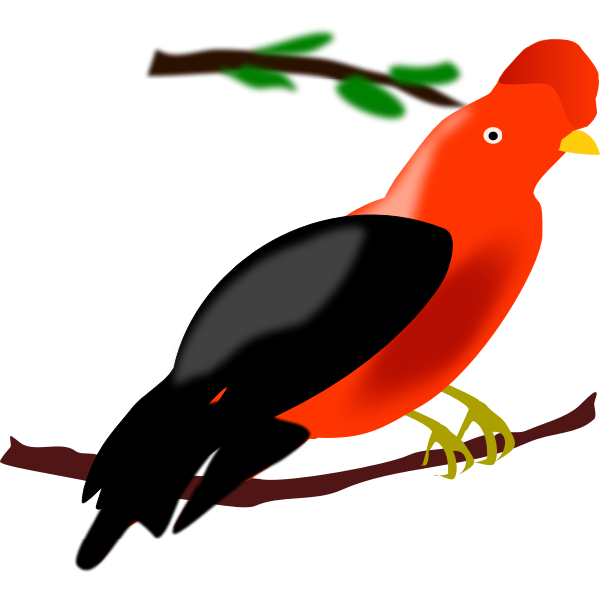 SVG Andean Cock-of-the-rock
