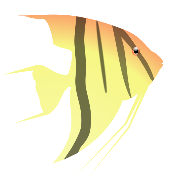 SVG Angel fish