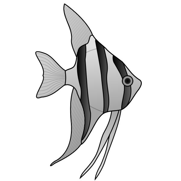 SVG Angelfish