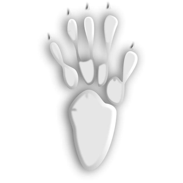 SVG Animal tracks silhouette