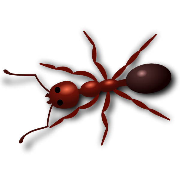 SVG Ant